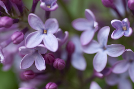 AF06CE38-0DEC-4952-8BC0-CF2A99D54138